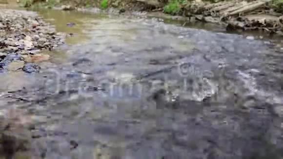 男人手溅在小溪里视频的预览图