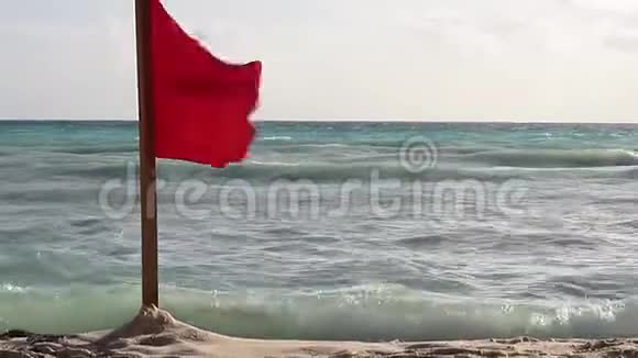 海上的红旗视频的预览图
