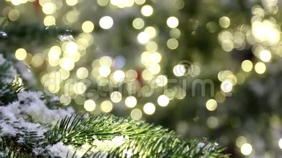 圣诞节背景树枝雪灯光视频的预览图