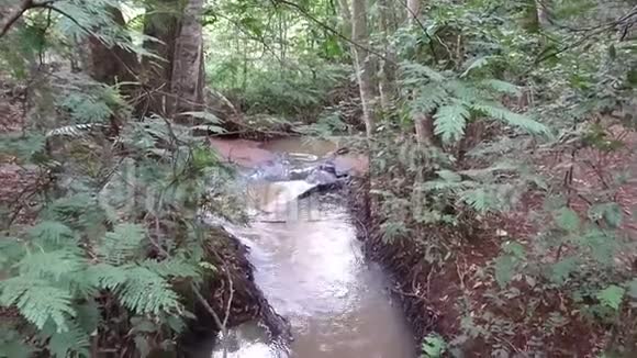河水的流动视频的预览图