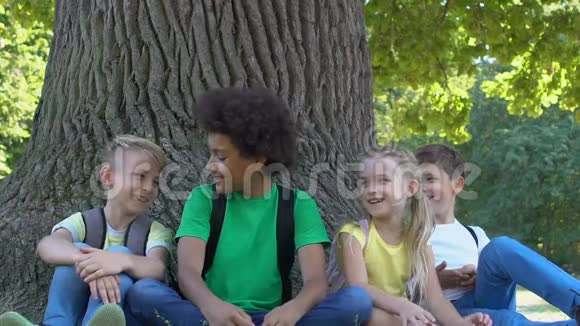 快乐的一群孩子在树下坐着公园开玩笑地笑视频的预览图