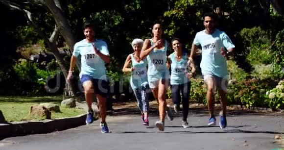 马拉松运动员在公园跑步4k视频的预览图
