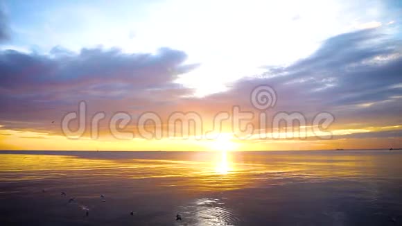 宁静的场景多云的海上日落海鸥在日落时飞翔漂浮在水面上视频的预览图