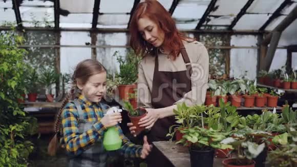 年轻女子熟练的园丁正在教她好奇的小女儿用喷雾清洗绿色盆栽植物的叶子视频的预览图
