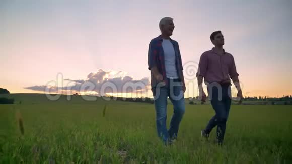 快乐的老父亲和成年儿子微笑着走在小麦或黑麦地上美丽的日落背景视频的预览图