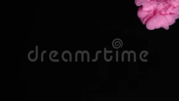 粉红色墨水滴在黑色背景上视频的预览图