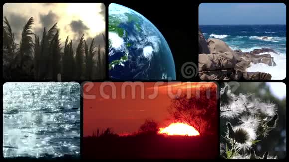 奇妙的地球蒙太奇视频的预览图