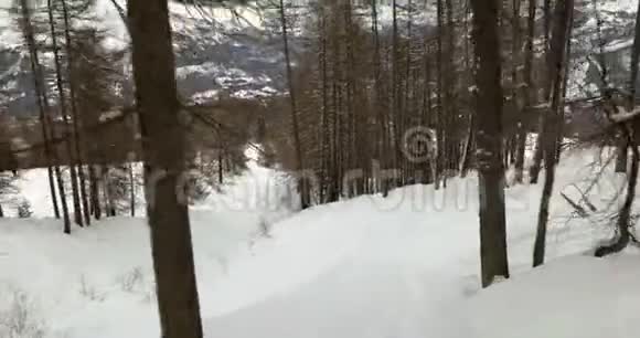 在森林里滑雪视频的预览图