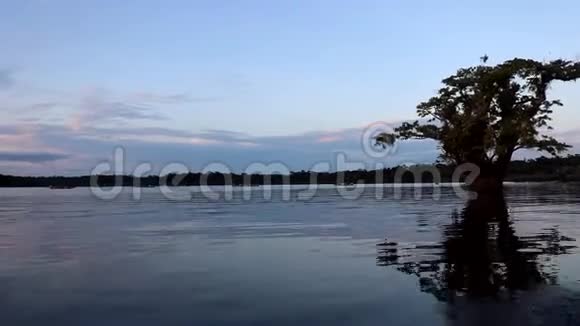 库亚贝诺的自然视频的预览图