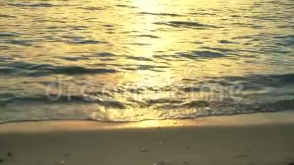 日落海滩视频的预览图
