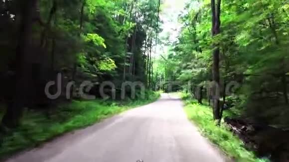 开车穿过森林视频的预览图