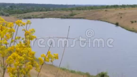 草原区的湖视频的预览图