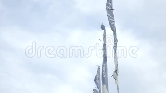 白旗在风中摇摆视频的预览图