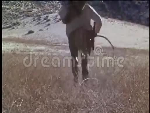 一个美洲原住民男子在野外用弓箭奔跑的后景视频的预览图
