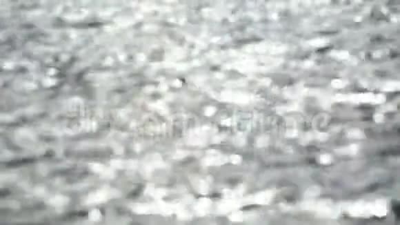 水上的眩光视频的预览图