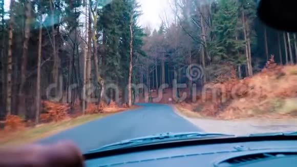 汽车穿过树林视频的预览图