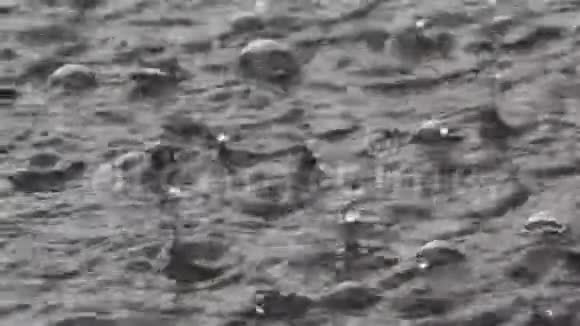 暴风雨中地面的雨视频的预览图