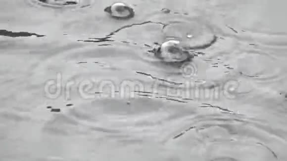 雨中的水面视频的预览图