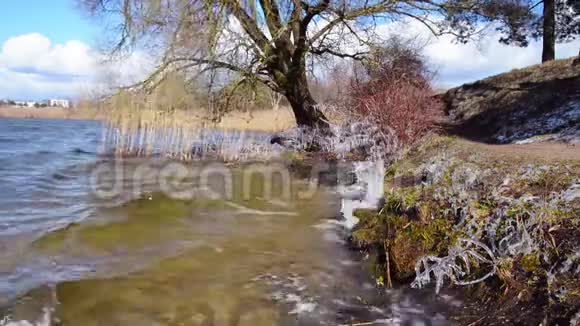临湖的春天寒冷的天气视频的预览图