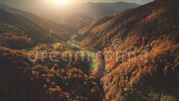 飞越奇妙的秋山景观视频的预览图