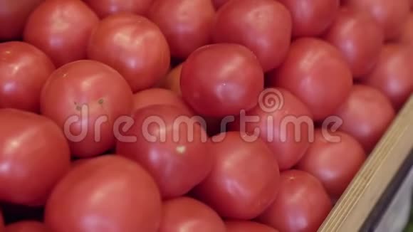 番茄品种视频的预览图