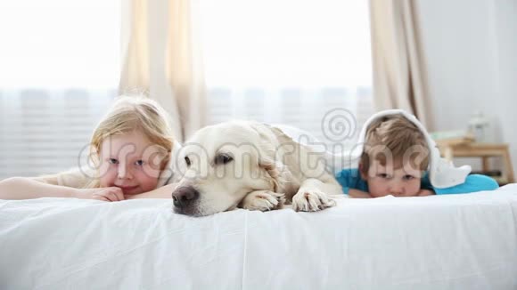 家庭宠物的生活弟弟和妹妹和他们的狗躺在卧室的床上视频的预览图
