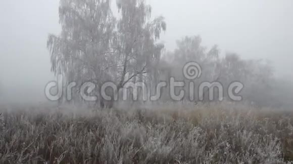 树和草上的霜视频的预览图