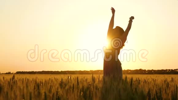 日落时女孩的剪影一个年轻的女人站在麦田中央举起双手旋转着视频的预览图