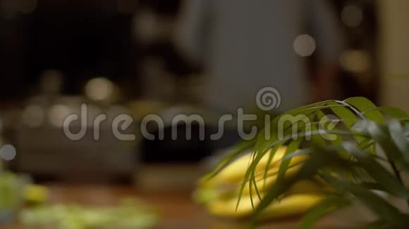 家庭植物的叶子视频的预览图