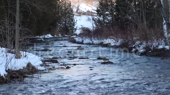 赊账河流过白雪覆盖的河岸视频的预览图