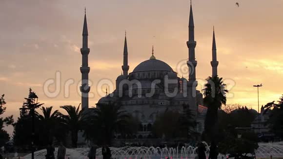 黄昏的蓝色清真寺视频的预览图