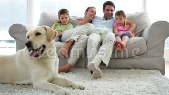 可爱的一家人和他们的狗在地毯上一起在沙发上放松视频的预览图