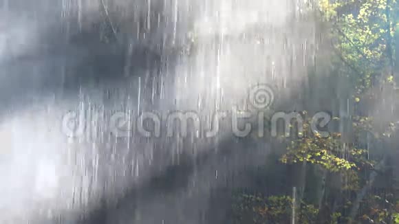 在瀑布后面视频的预览图