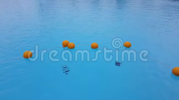 泳池里的浮标视频的预览图