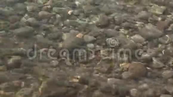 海滩上的水是岩石视频的预览图