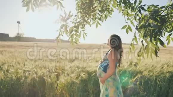 日落时分一位怀孕的年轻女子站在一片麦田旁边靠近悬挂着的树枝录像正在播放视频的预览图