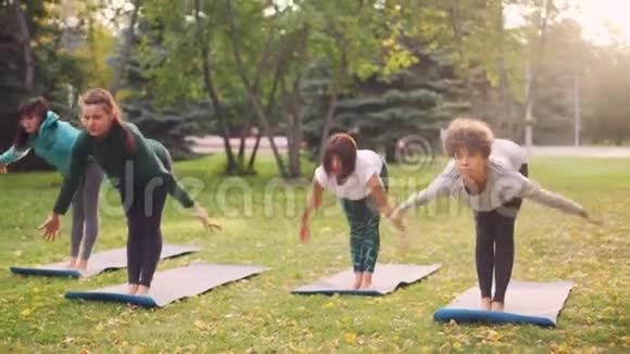 活跃的年轻人在公园里锻炼在温暖的秋日周末站在垫子上做瑜伽练习健康视频的预览图