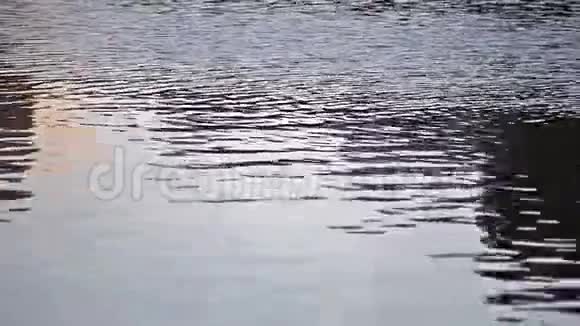 水上的光波视频的预览图