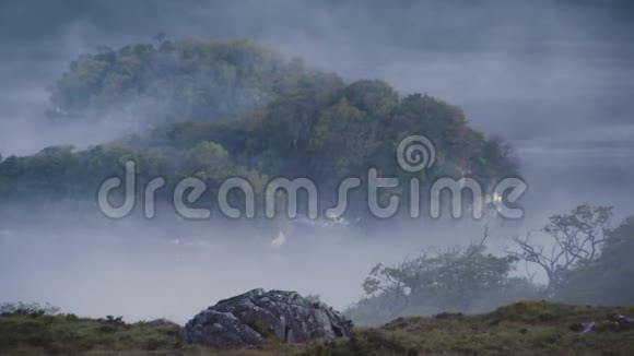 雾中的树岛视频的预览图