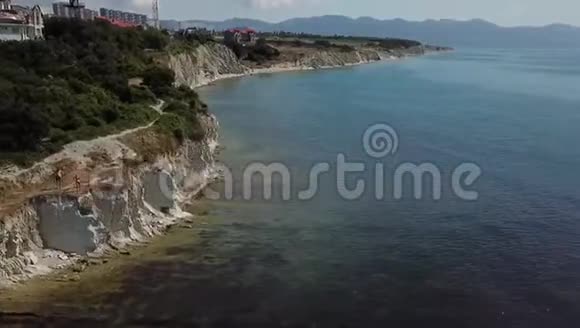 黑海野生动物视频的预览图
