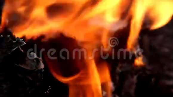 火焰燃烧视频的预览图