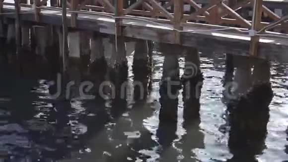 水上的木制码头视频的预览图