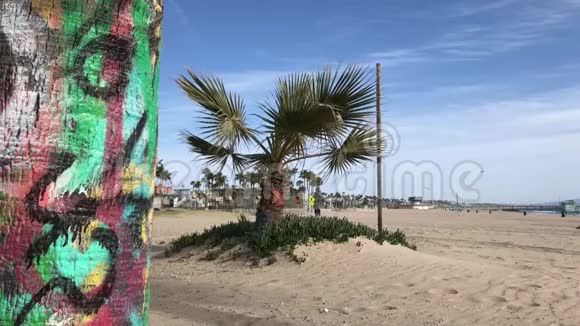 威尼斯海滩日光浴4K30英尺长视频的预览图