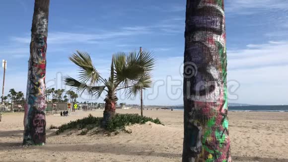 涂鸦覆盖的棕榈树框架较小日期棕榈4K30fps视频的预览图
