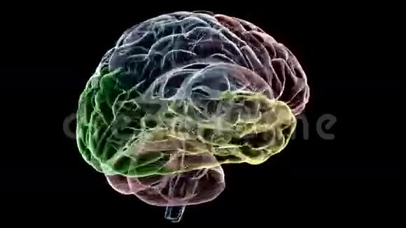 大脑X射线视频的预览图