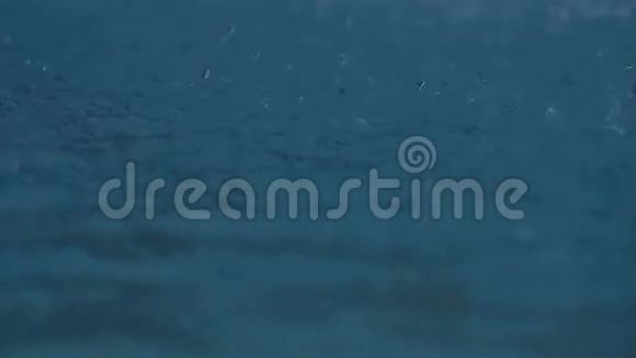 蹦蹦跳跳的水滴在水上视频的预览图