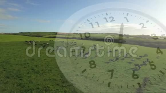 时钟和一片有奶牛的田野视频的预览图