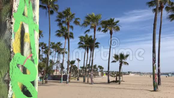 高棕榈标志艺术安装威尼斯海滩4k30fps视频的预览图