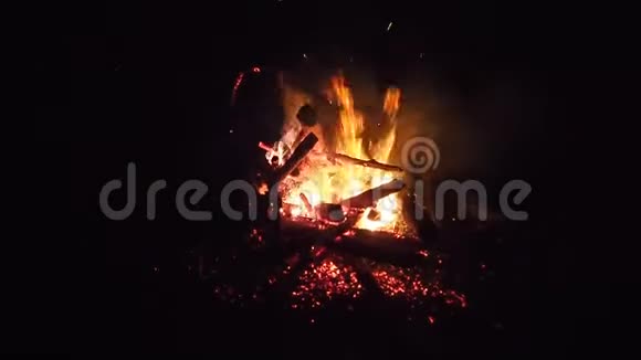 晚上的篝火视频的预览图