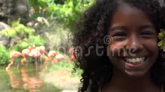 动物园快乐的非洲少女视频的预览图